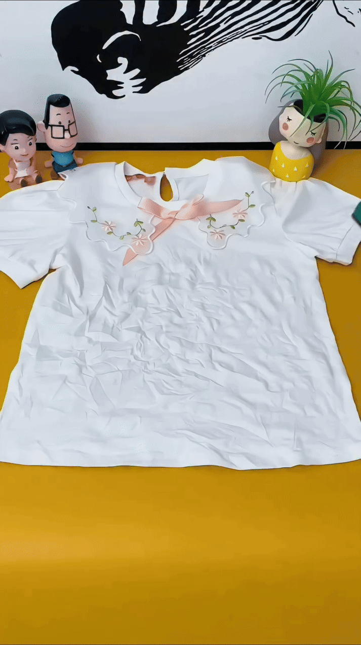 Portable Mini Ironing Machine