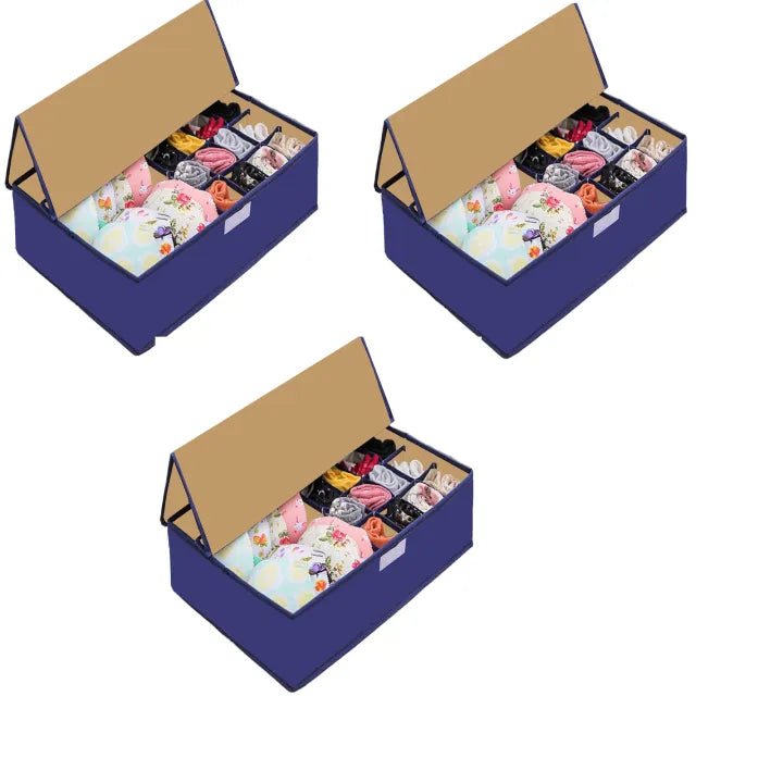 Foldable Organizer Container